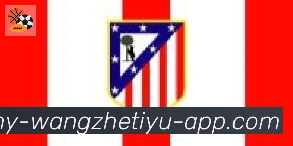 王者体育直播合作伙伴