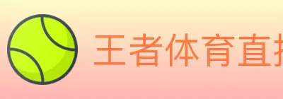 王者体育直播 logo
